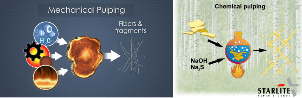 Mechanical & Chemical Pulping