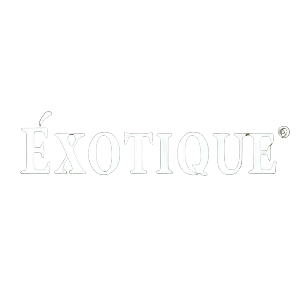 Exotique Audio Logo