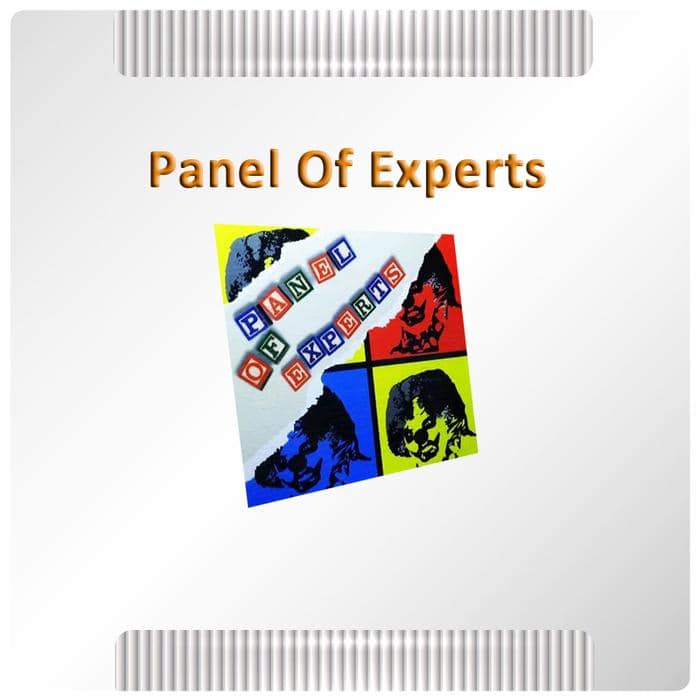 CD Musik Ex Koleksi Pribadi - Panel Of Experts